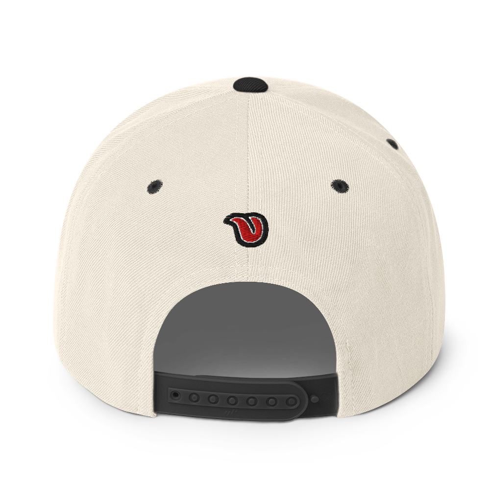 Licked Classic Snapback Hat