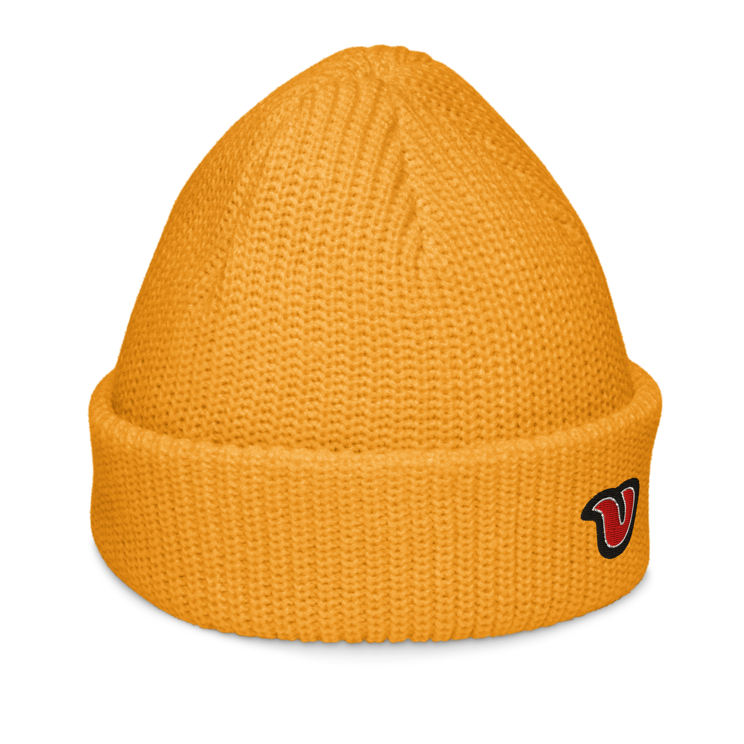 Classic Licked Tongue - Fisherman beanie
